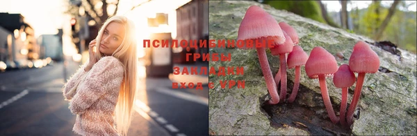 mdpv Михайловск