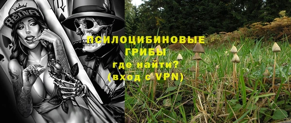 мяу мяу мука Михайлов