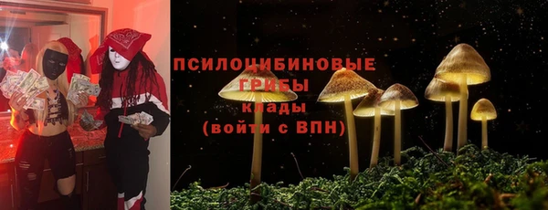 mdpv Михайловск