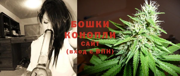 мяу мяу мука Михайлов