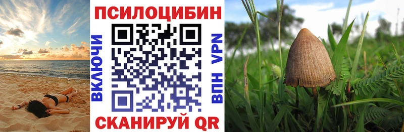 продажа наркотиков  Яранск  сайты даркнета состав  Галлюциногенные грибы Magic Shrooms 